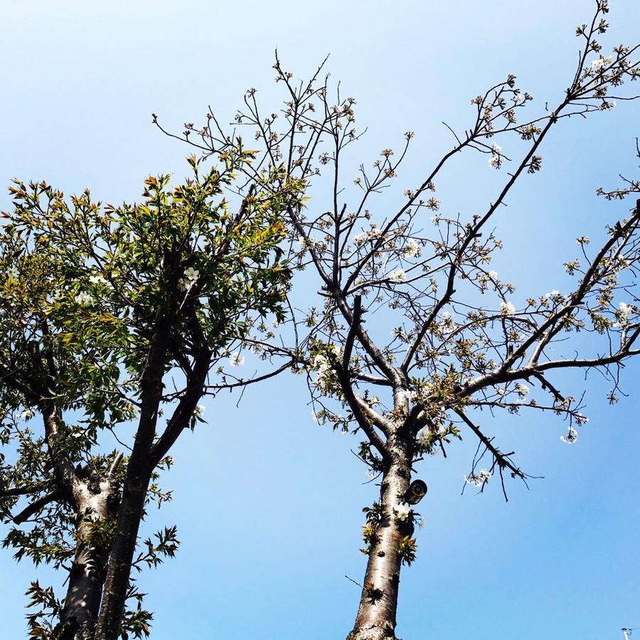 제주 Little Haenyeo 빌라 외부 사진