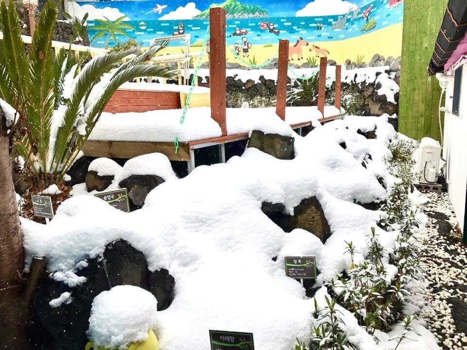 제주 Little Haenyeo 빌라 외부 사진
